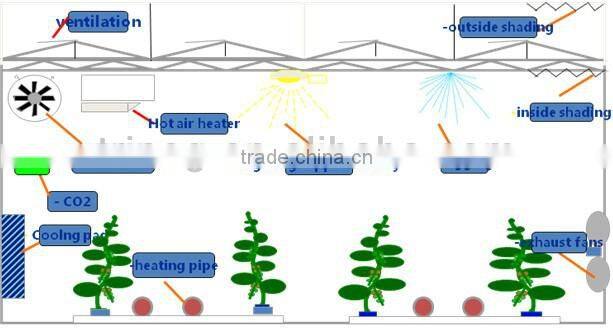 NFT hydroponics cultivation system for lettuce