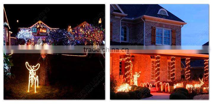 Waterproof IP65 220V Yellow LED Rope Light