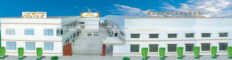 OEM alkaline battery(dry cell battery)