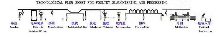 poultry slaughter house