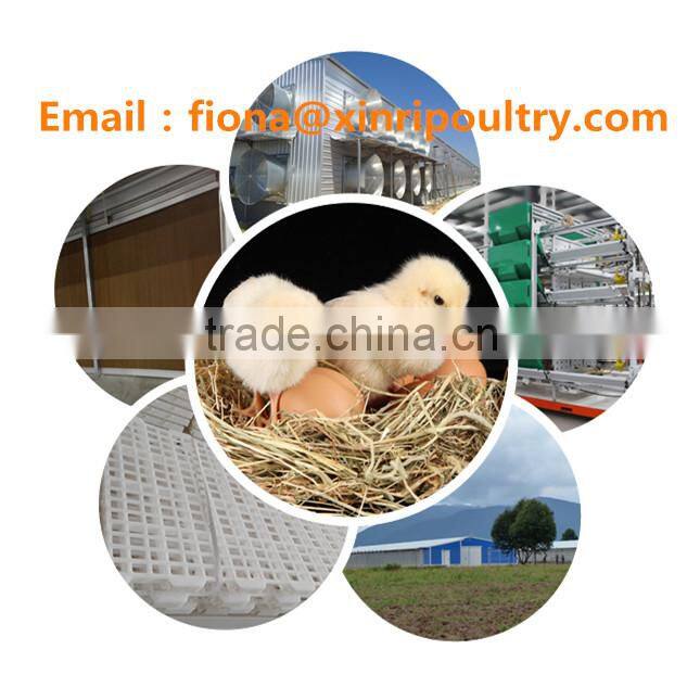 H type hen chicken cage