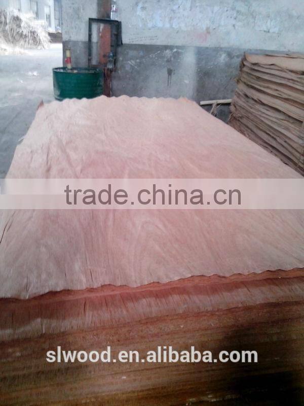 0.3mm gurjan /keruing veneer with 8*4 size