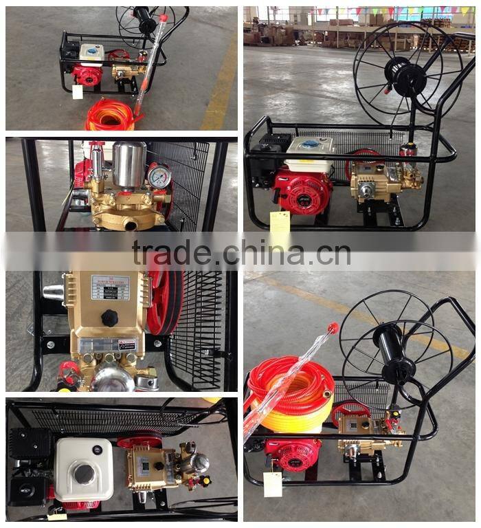 Portable agricultural or garden sprayer with gasoline engine 6.5Hp