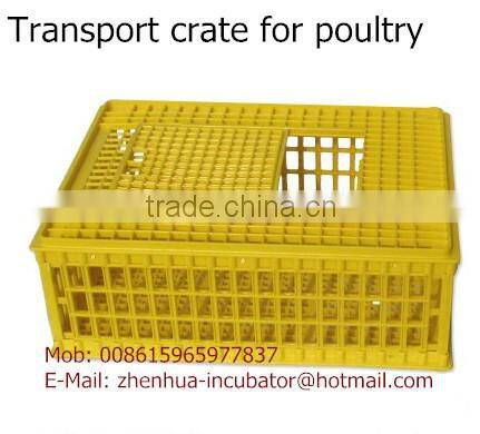 hot sale chicken cage 008615965977837
