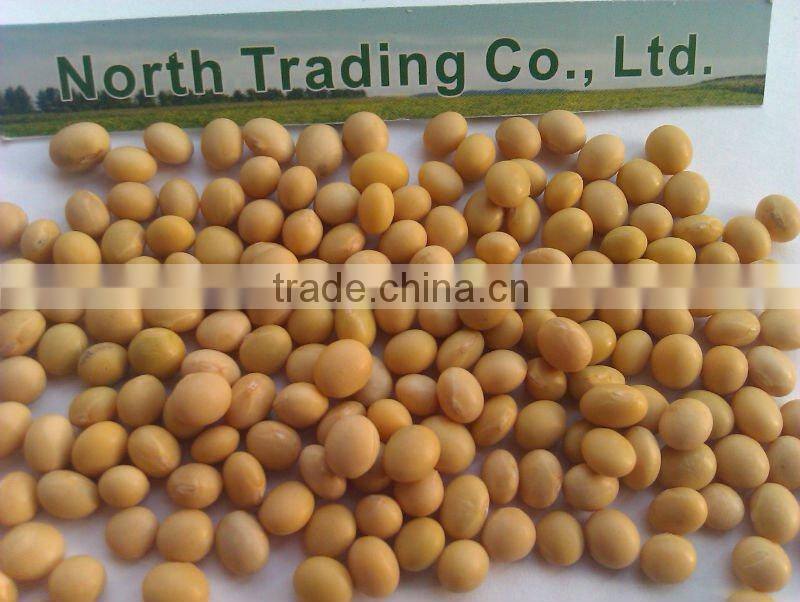 Soybean/soya bean, soybean seeds, soya bean seeds( 2013 crop, heilongjiang origin)