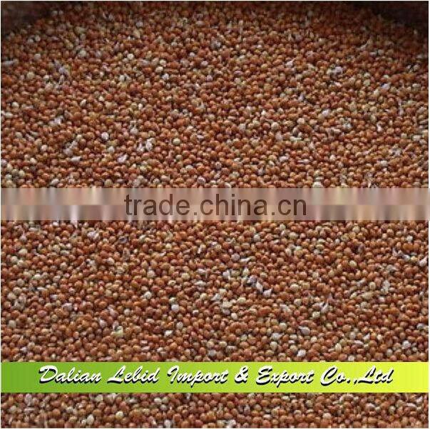2016 red millelt/non glutinous millet