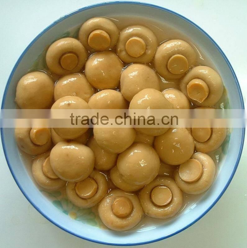 Canned Whole Button Mushroom