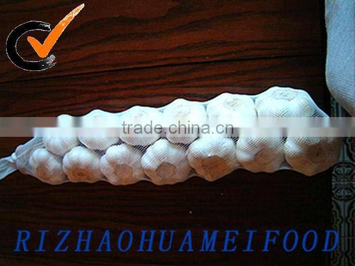 Natural white Fresh Garlic for sale