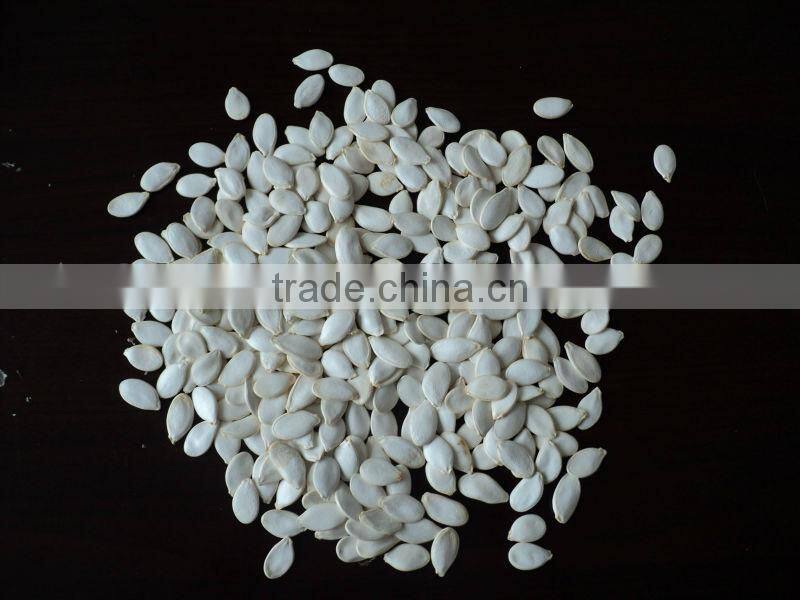 Snow White Pumpkin Seeds in shell