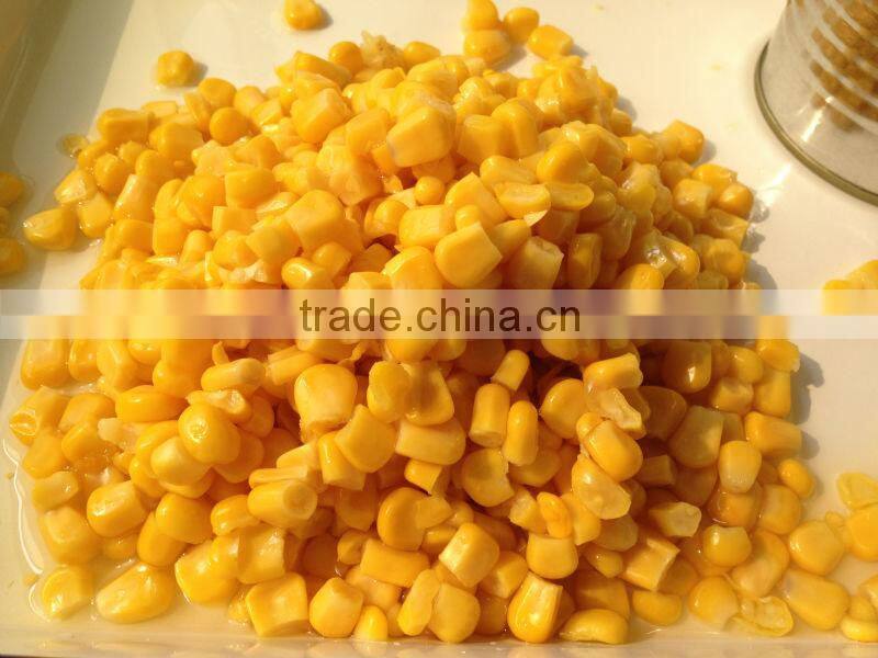 New crop Canned sweet corn 425gx24tin with best price