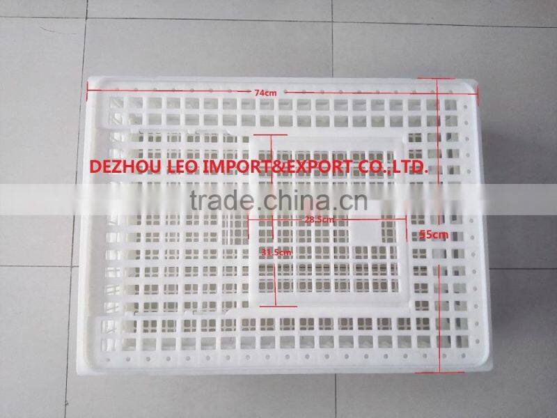 foldable plastic crate for chicken for sale
