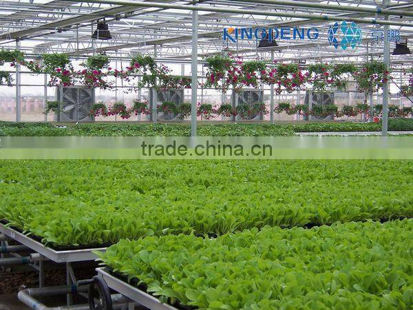 Solar Arch Greenhouse for Vegetables