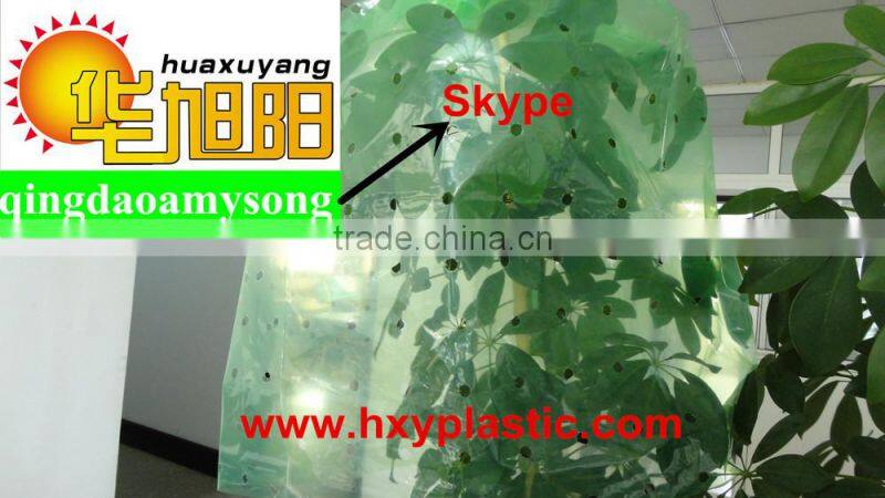 Green color PE Agricultural Plastic Perforated Film with UV for protective tomato tree