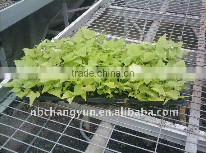 8410 Seed tray high for plant and flower