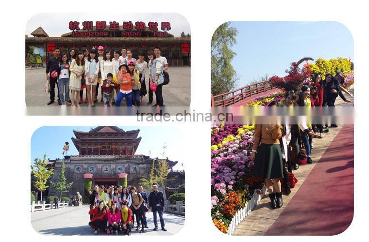 Red Wringer bucket ,Mop Bucket with Wringer,bucket with divider33L