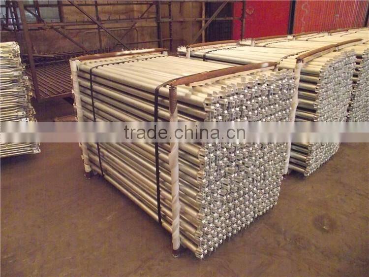 Factory price HDG ringlock scaffolding rosette system scaffolding