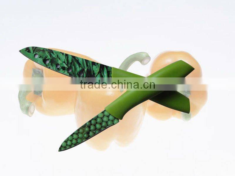 non-stick fruit knife with sheath