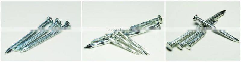 sell cheap galvanized concrete nails/nails