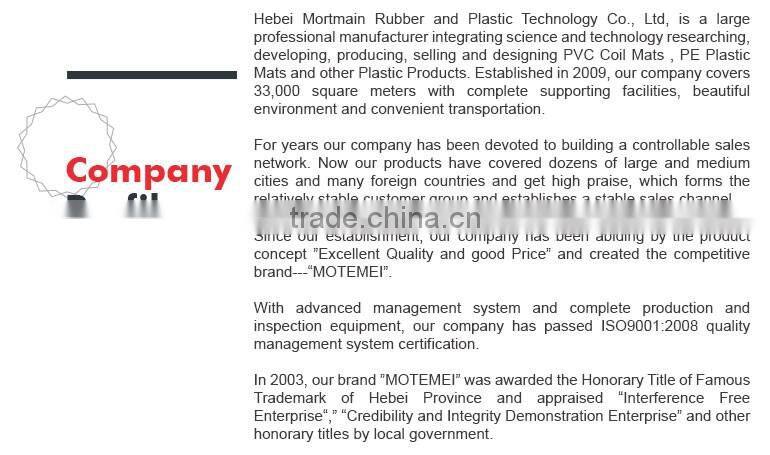 China factory supply car floor mats printed