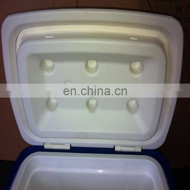 10L Car Cooler/Warmer Fridge Plastic Box for Picnic