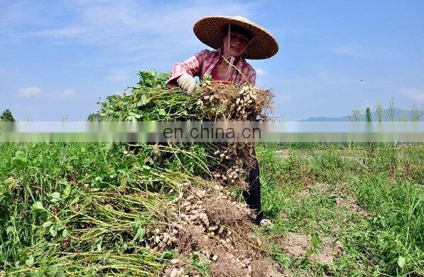 Small India 1 Row Tractor Groundnut Peanut Combine Harvester Machine