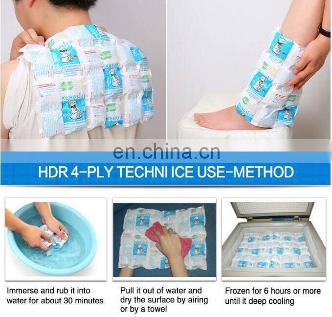 Automatic Techni Ice 2 Ply HD Dry Ice Packing Machine