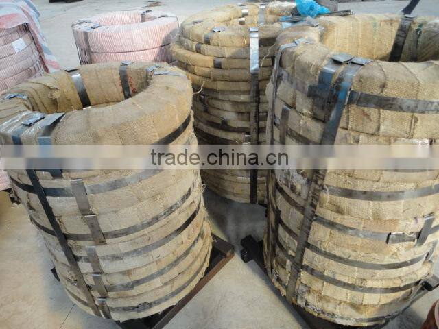 CK67 prime select quality Rolling shutter door spring steel strip