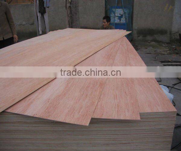 high quality bintangor plywood 2.5mm/3.6mm/4.6mm for South East Asia market