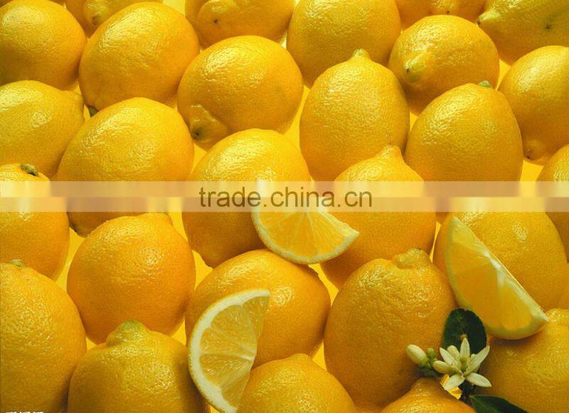 Stainless steel low price orange juice processing machine,automatic orange juicer