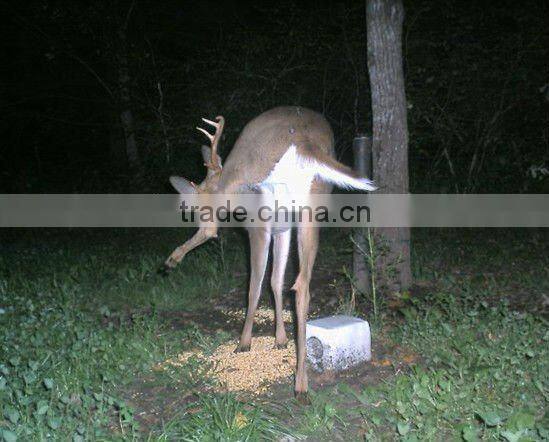 hunting trail camera KO-HC01
