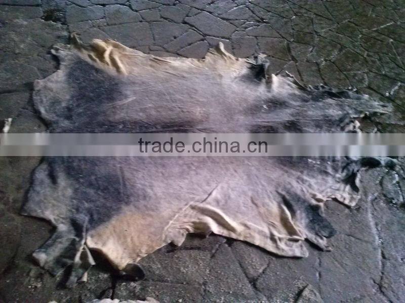 WET SALTED COW HIDE