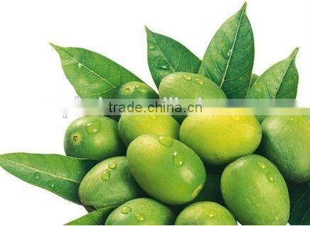 Portable olive harvester on sale