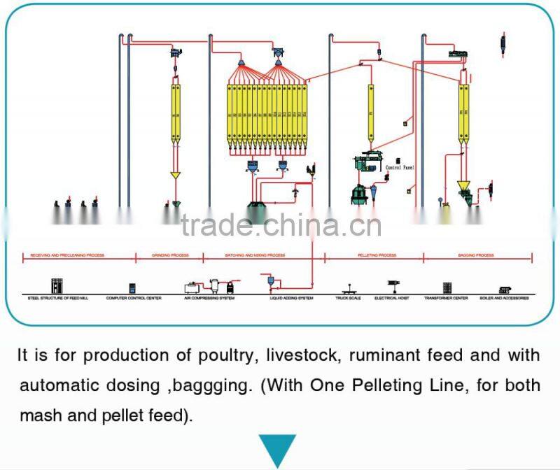 Low investment 4-6tph animal feed pellet line plant