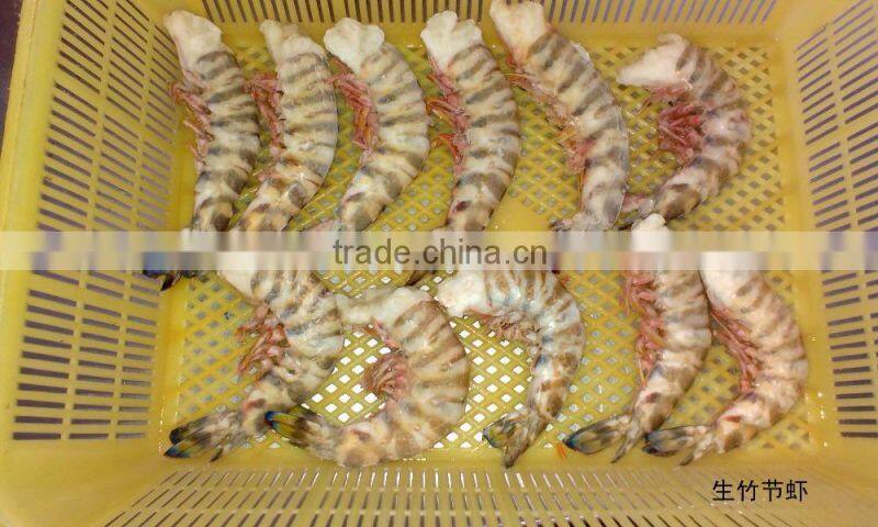Zhoushan ship frozen marsupenaeus japonicus (shrimp kind)
