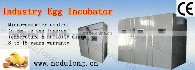 19712 chicken eggs NEW Designed Intelligent full automatic incubation