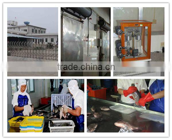 Fresh frozen mackerel prices competitive