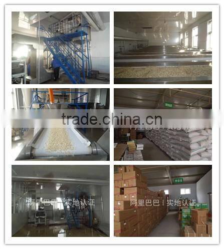 Blanched Debittered Apricot Kernel / Blanched apricot seeds