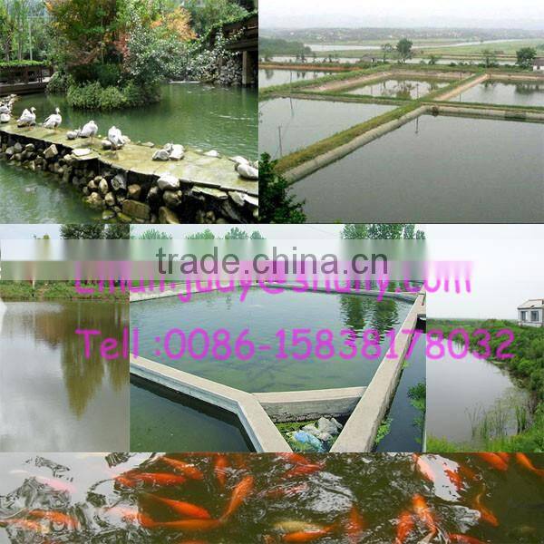 high quality pond fish feeder machine - automatic fish feeder