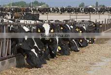 rfid uhf long range cow/cattle/sheep/goat/pig animal electronic ear tag