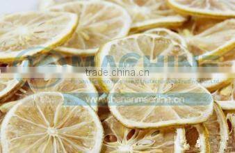 Hot sell red dates dehydrator lemon and mango fruits drying machines