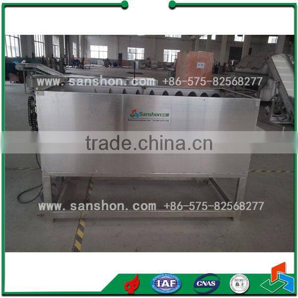 Continuous Onion Washer Industrial Potato Peeling Machine