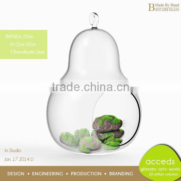 Clear Glass Hydroponic Pot