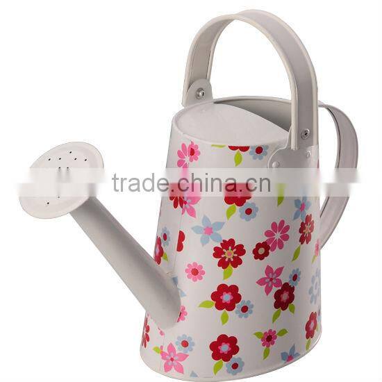 Metal dual actional watering can with removable threaded shower head perfect for garden horticultural cultivation & maintenance