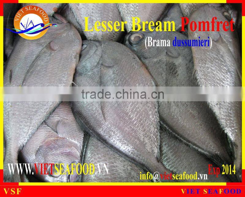 W/R FROZEN LESSER BREAM POMFRET