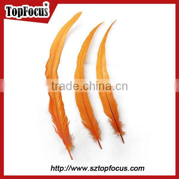 dyed color big long natural grizzly rooster feathers for sale