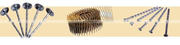 Competitive Zinc Roofing nail With Umbrella Head