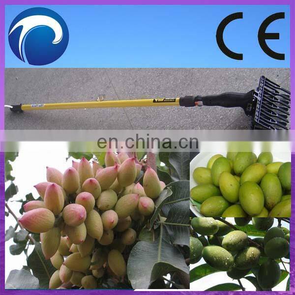 electric type olive picking machine skype:junemahcine