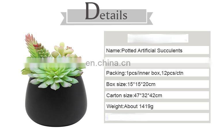 Home Garden Decorations Plastic Flower Wholesale Cute Pots Assorted Artificial Succulents With Black Pot