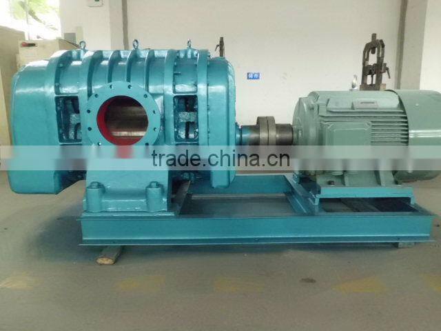 two lobes roots blower