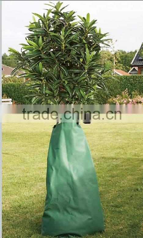 Tree watering system